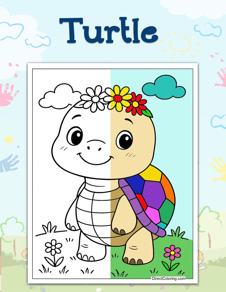Turtle