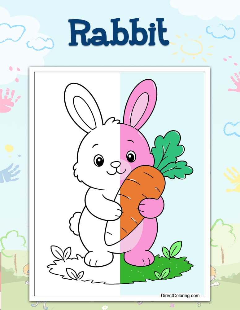 Rabbit