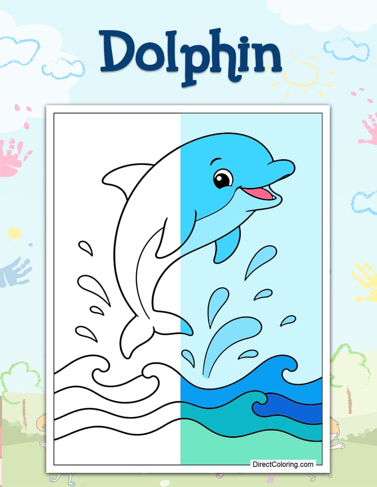 Dolphin