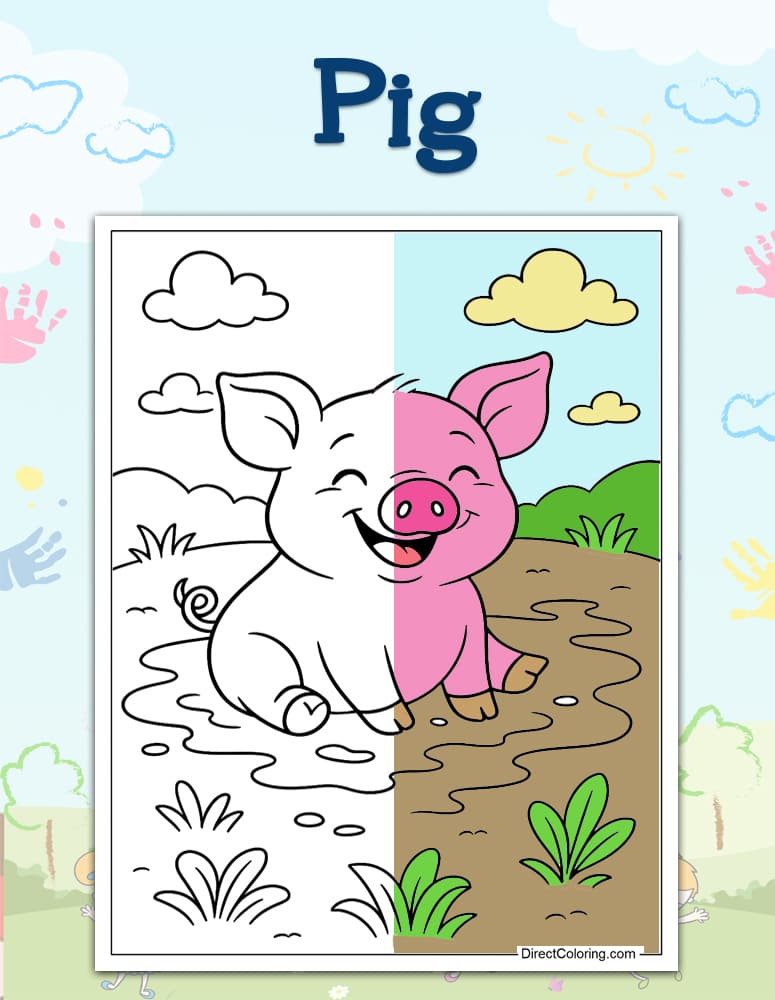 Pig
