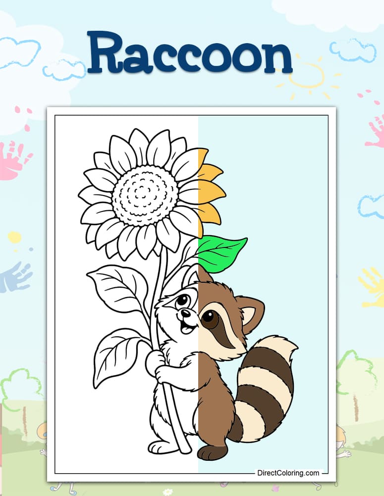 Raccoon Coloring Pages