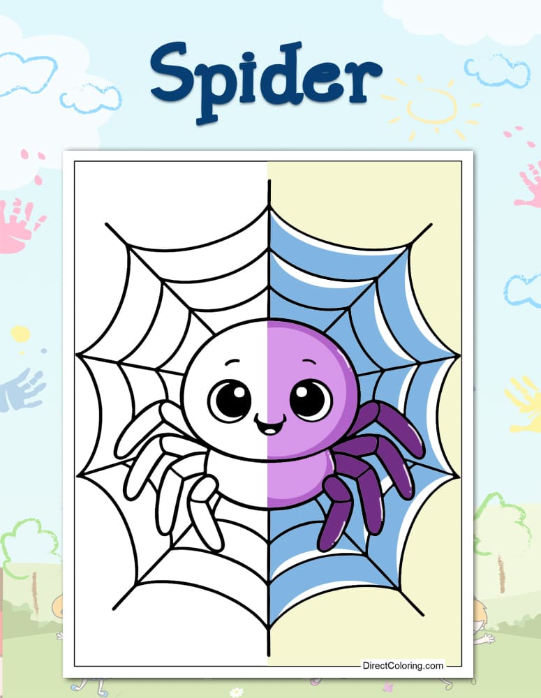 Spider