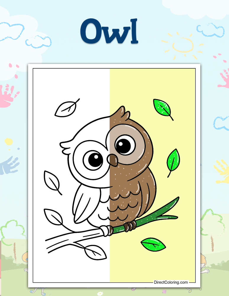 Owl
