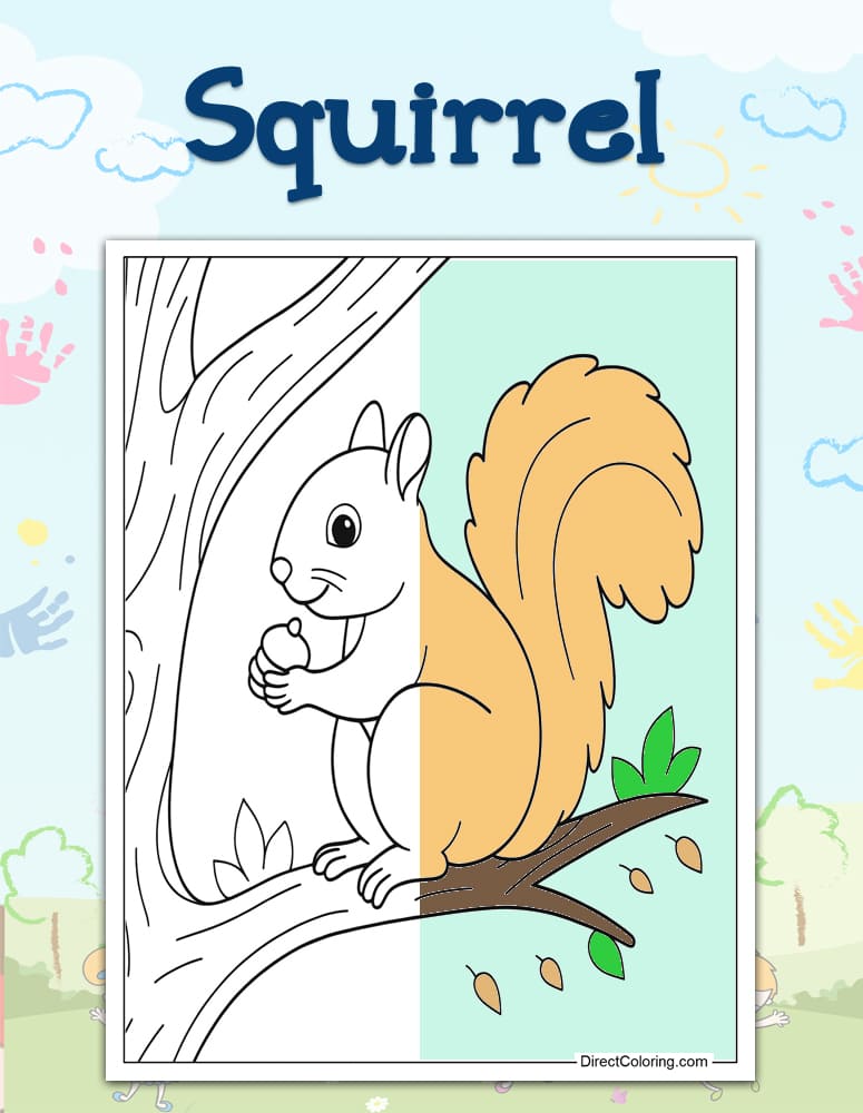Squirrel