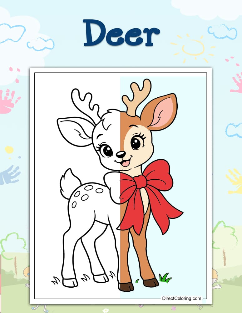 Deer