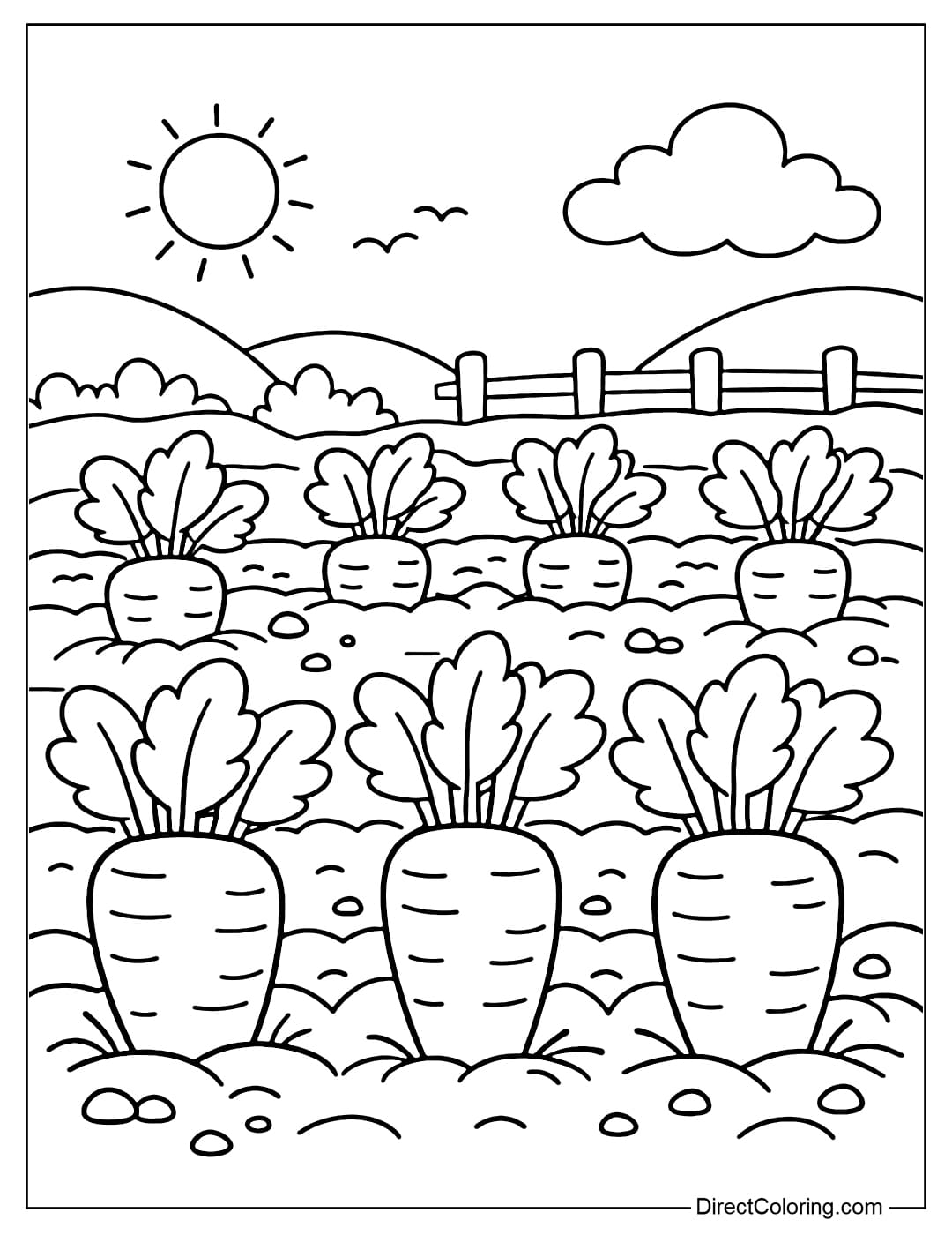 Many carrots growing in a row in the garden, with soil and large leaves, a simple arrangement.