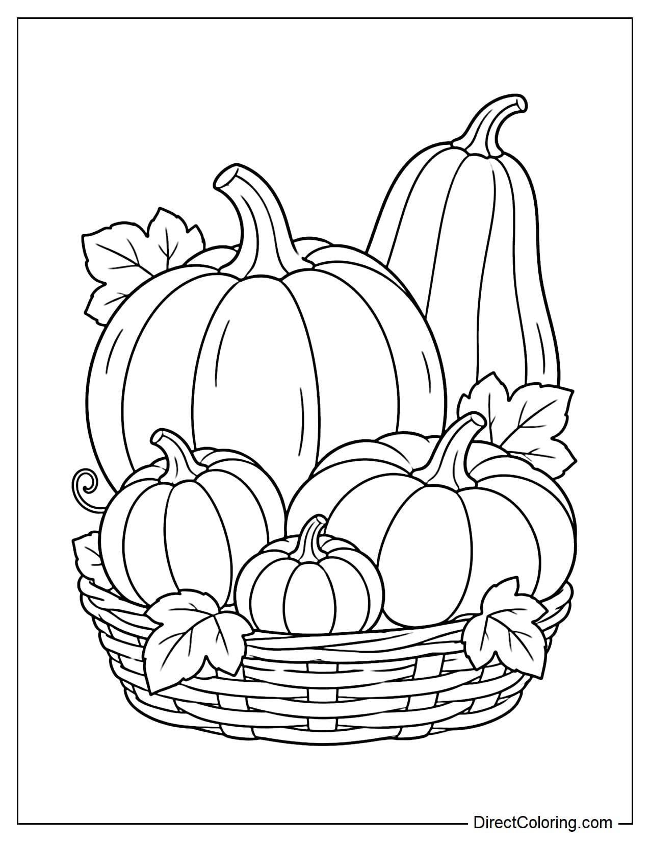 A low basket filled with pumpkins in a variety of natural shapes, including a large round pumpkin, a tall pumpkin, a flat pumpkin, and a small pumpkin.