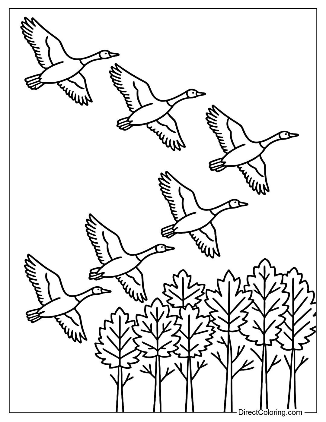 Coloring page of wild geese flying in V shape on a background of red and yellow leaves.