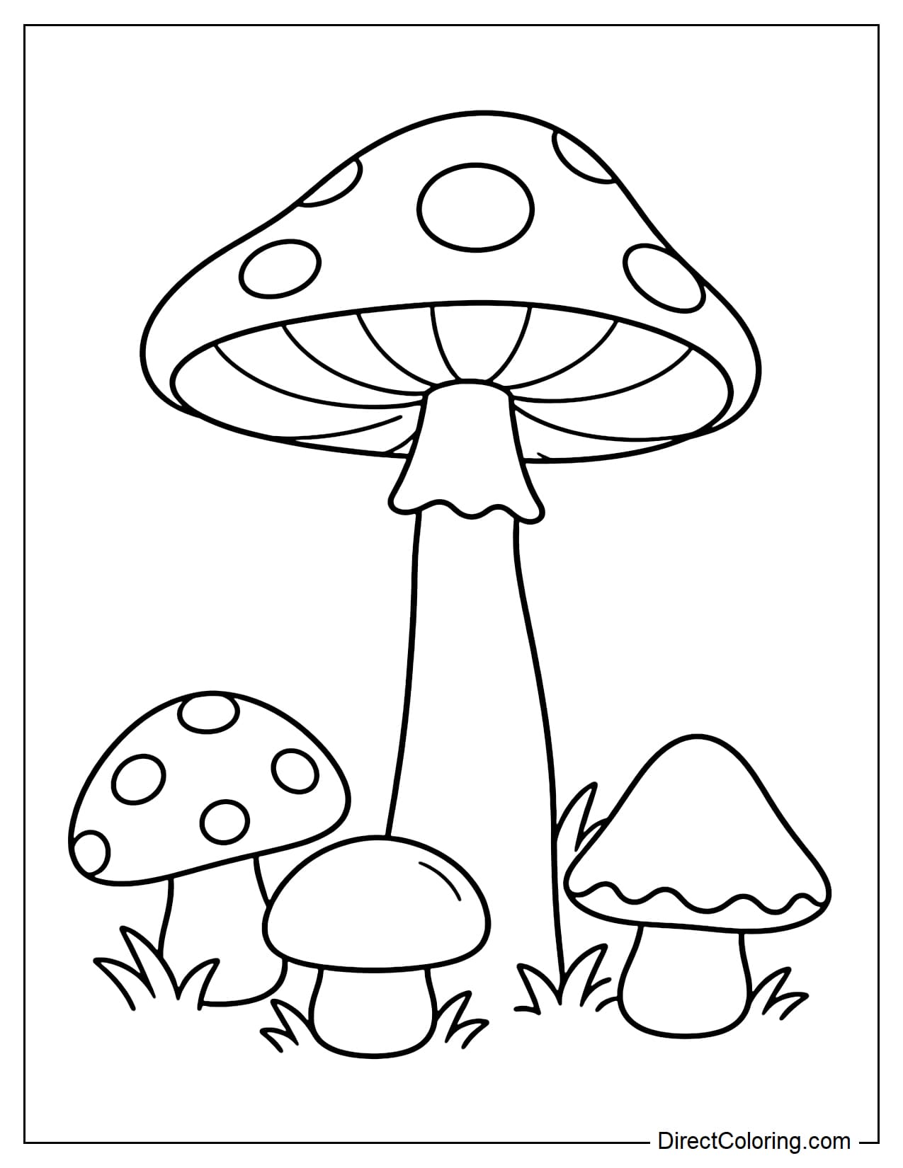 A tall mushroom with a long stem and wide cap, surrounded by three short, tiny mushrooms with differently shaped caps and a few blades of grass around the base.