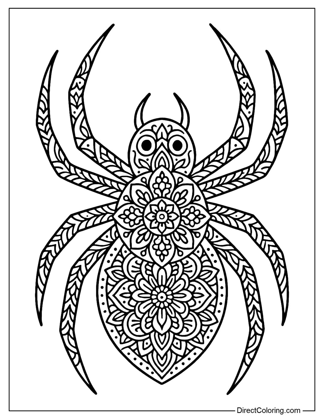 A stylized spider coloring page with a sophisticated symmetrical mandala pattern.