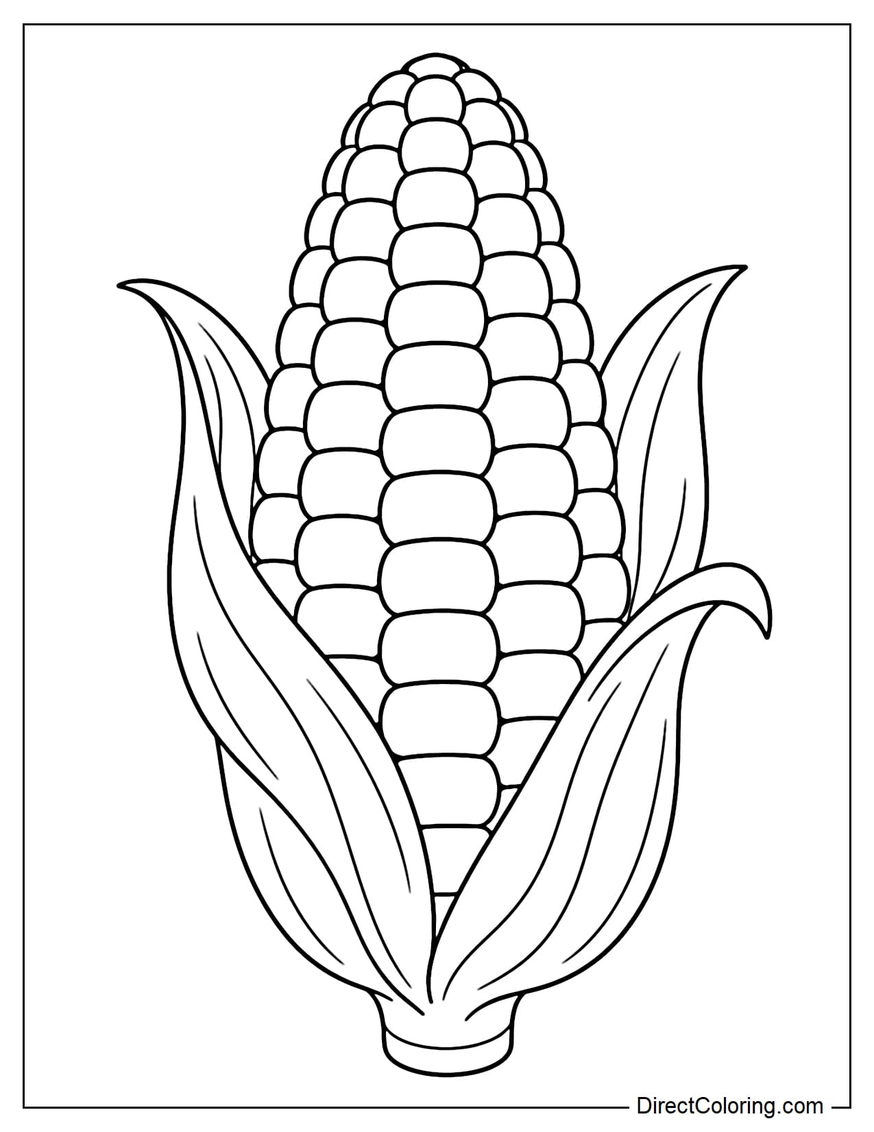 A large corn cob stands upright in the center, with the husks gently peeled back to both sides to reveal rows of large, round kernels inside.