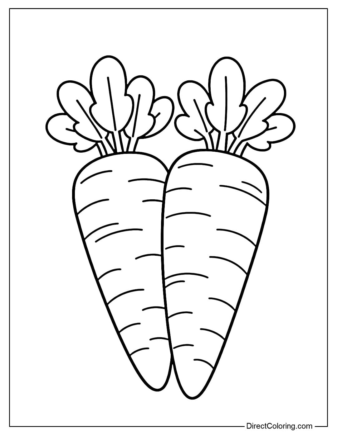 Two large carrots placed side by side, with simple leaves.