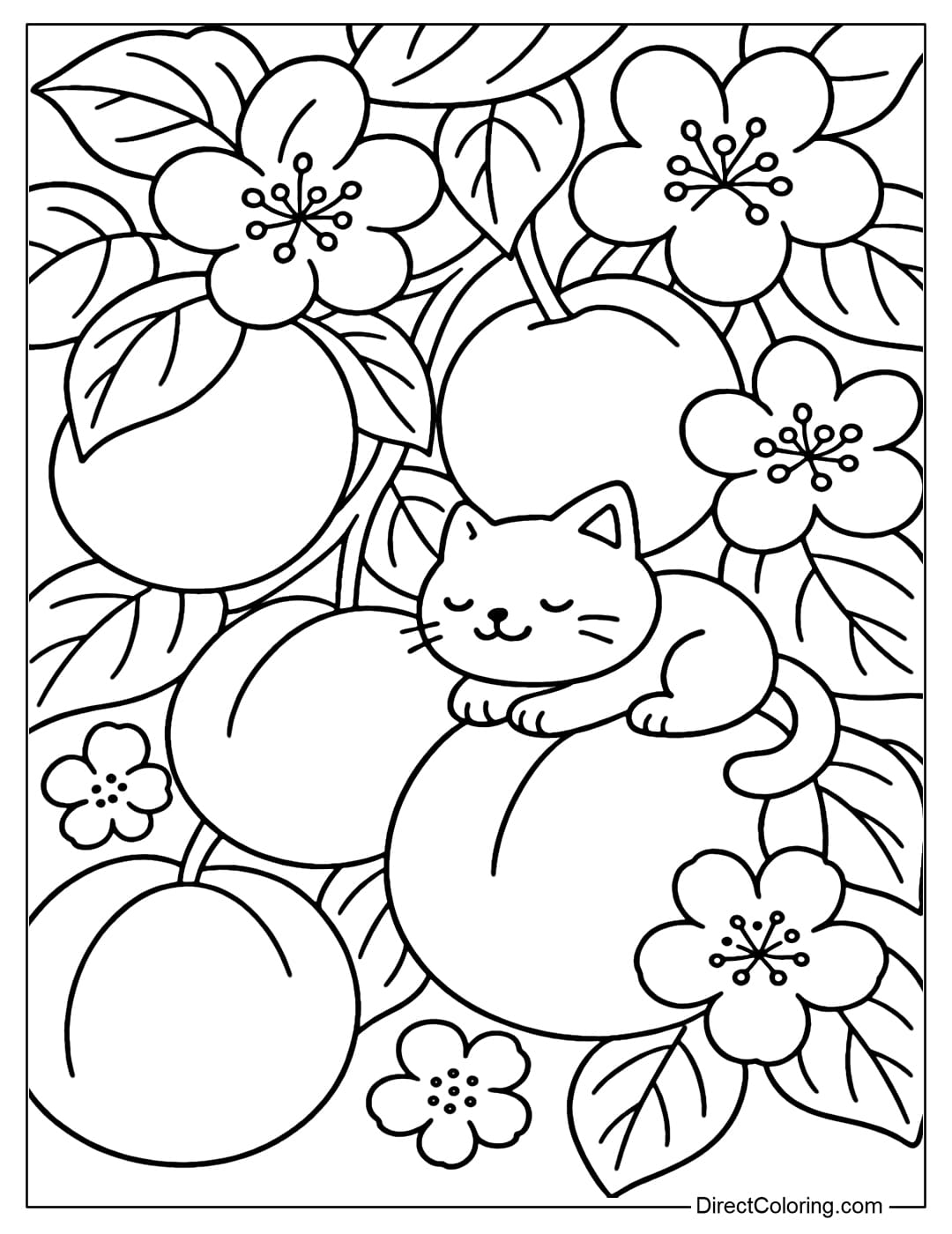Giant plum garden coloring page. A tiny cat sits on the fruit, dozing off.