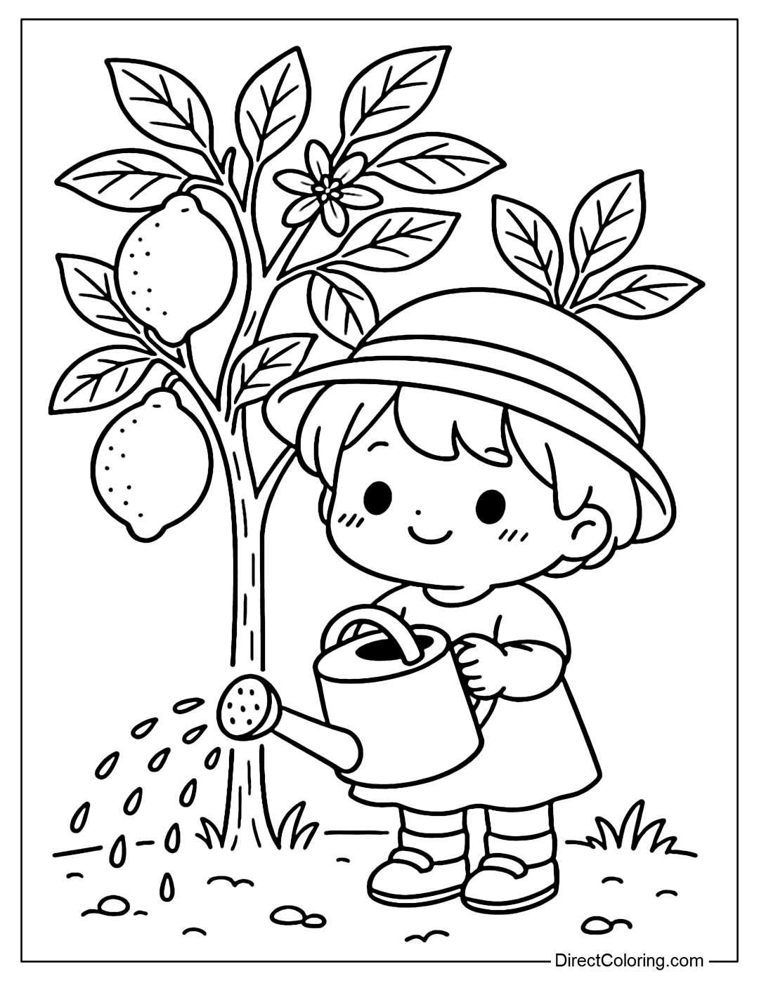 A small lemon tree coloring page with white flowers and some ripe fruit, with a child watering the plant.