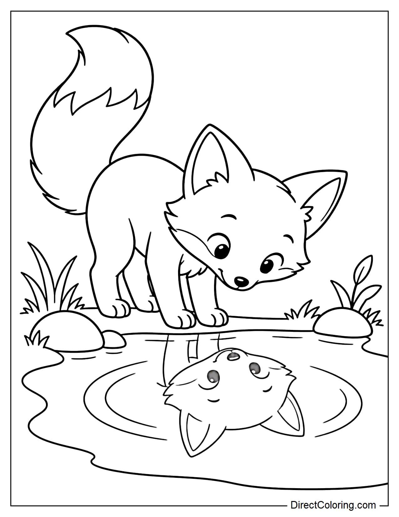 A fox stands at the edge of a pond and curiously lowers its head to look at the reflection of its face in the water, with its long fluffy tail gently curved behind it.