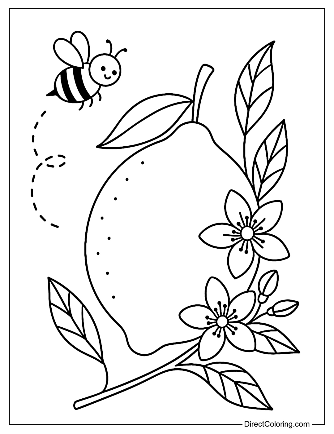 A lemon coloring page with a little bee flying around and a blooming lemon flower.