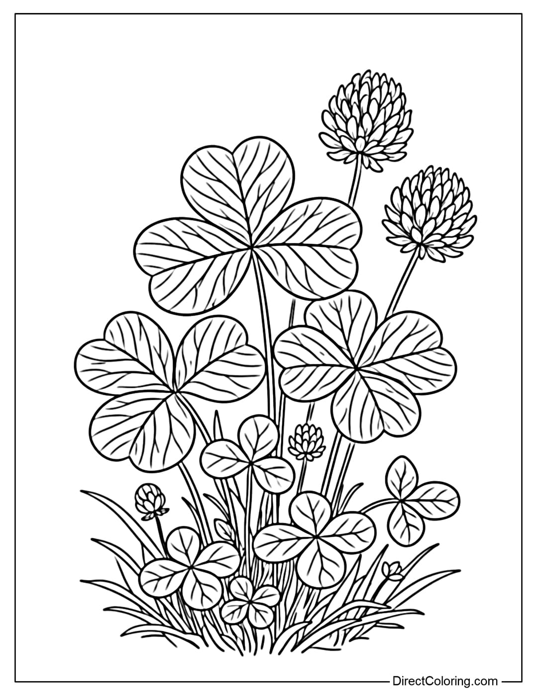 A coloring page of a natural shamrock with clearly visible leaf veins.