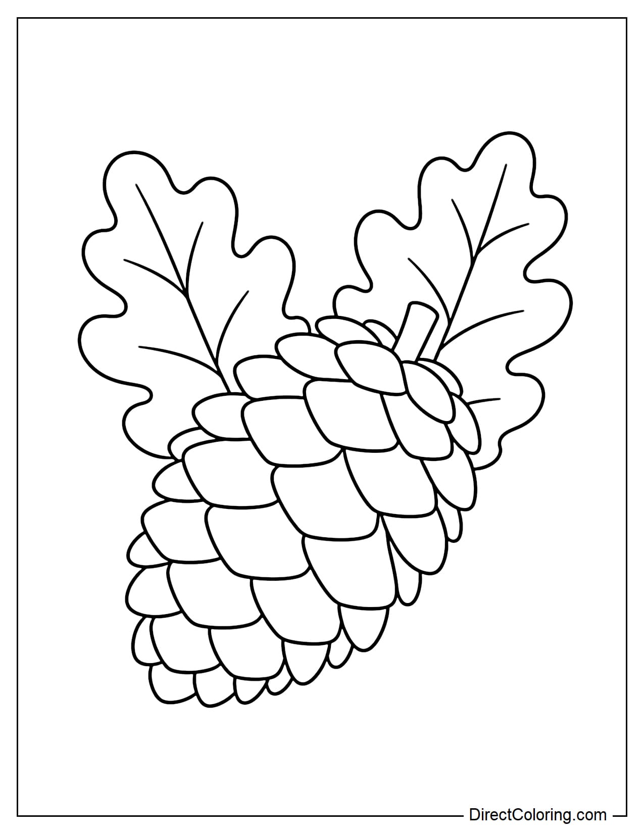 A large pinecone rests at an angle, with two large oak leaves spreading out behind it on either side.