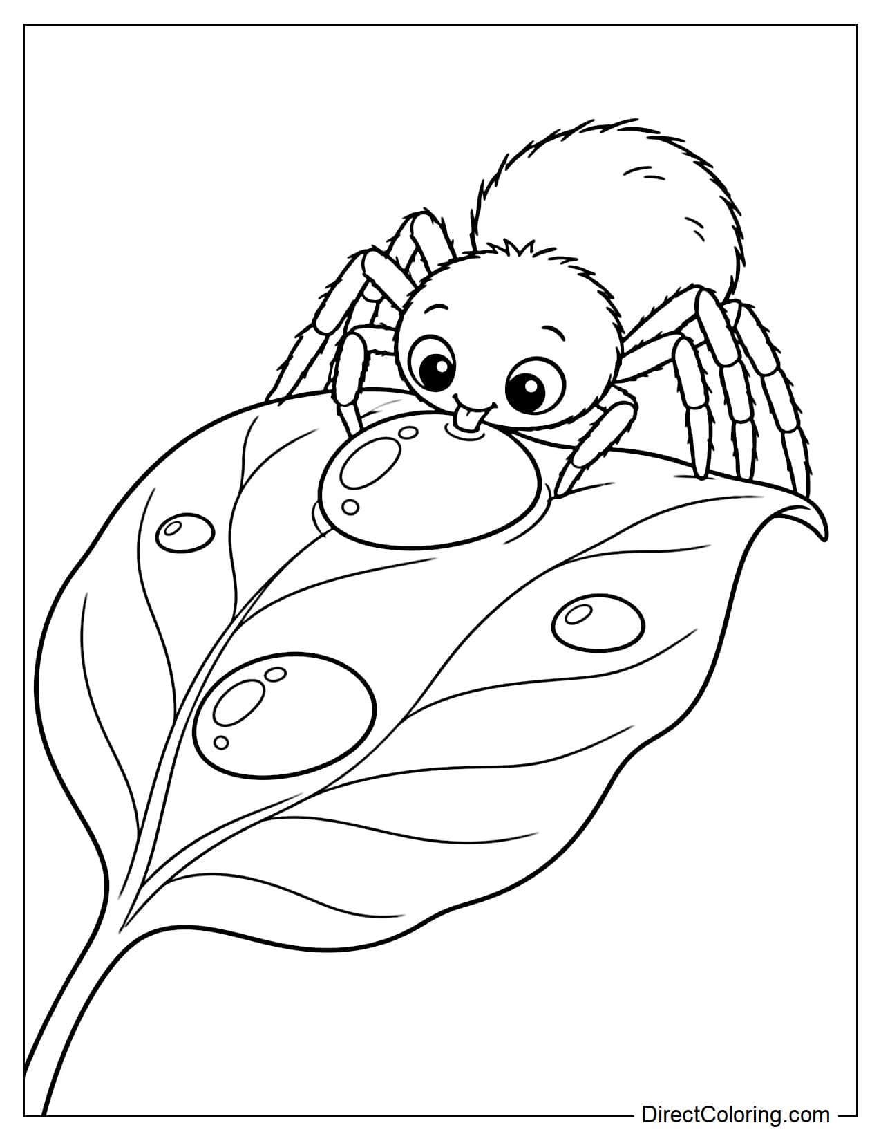 A spider leans over the edge of a large leaf to drink a round dewdrop, gently holding onto the leaf with its two front legs.