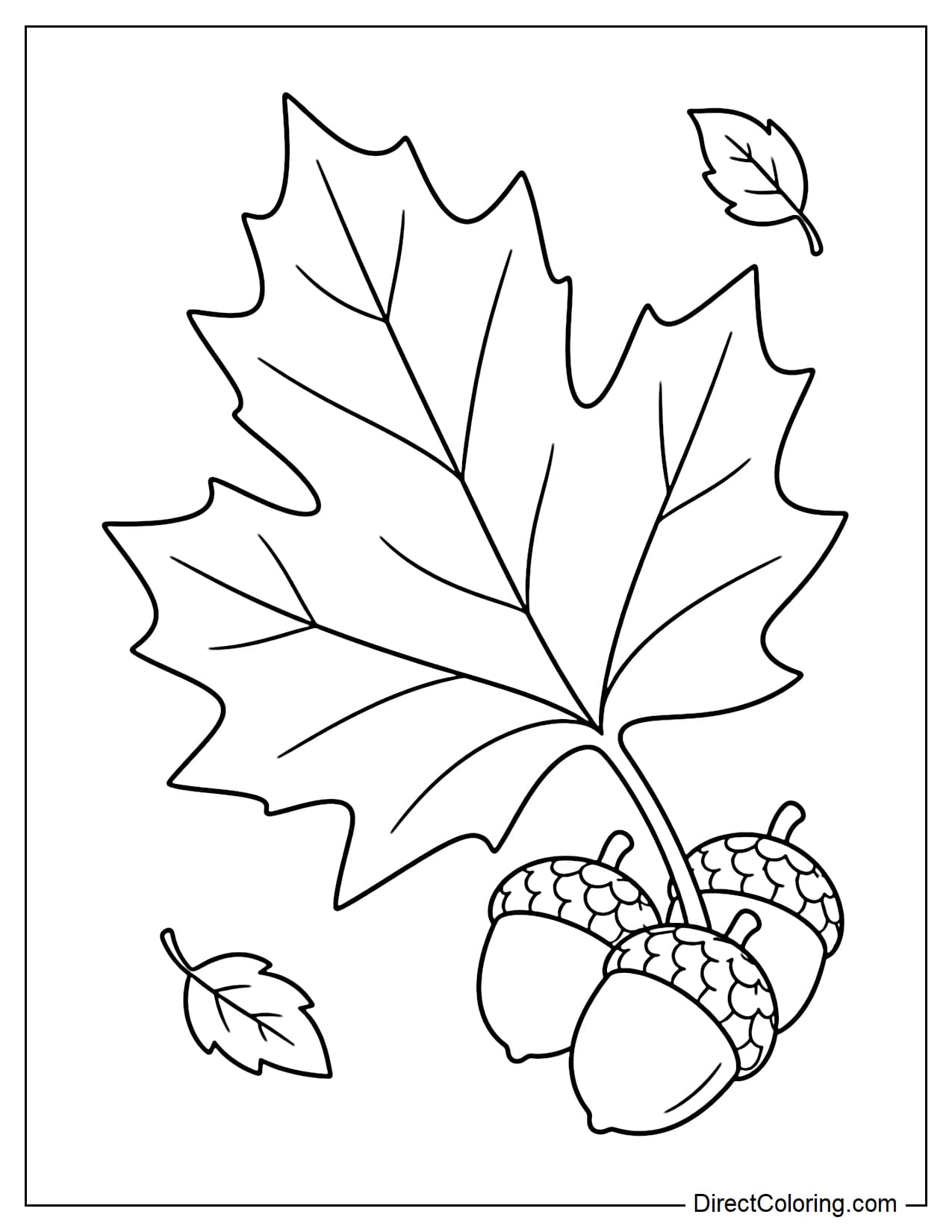 A giant autumn maple leaf lies diagonally, with three large acorns beside its stem and two small leaves falling nearby.