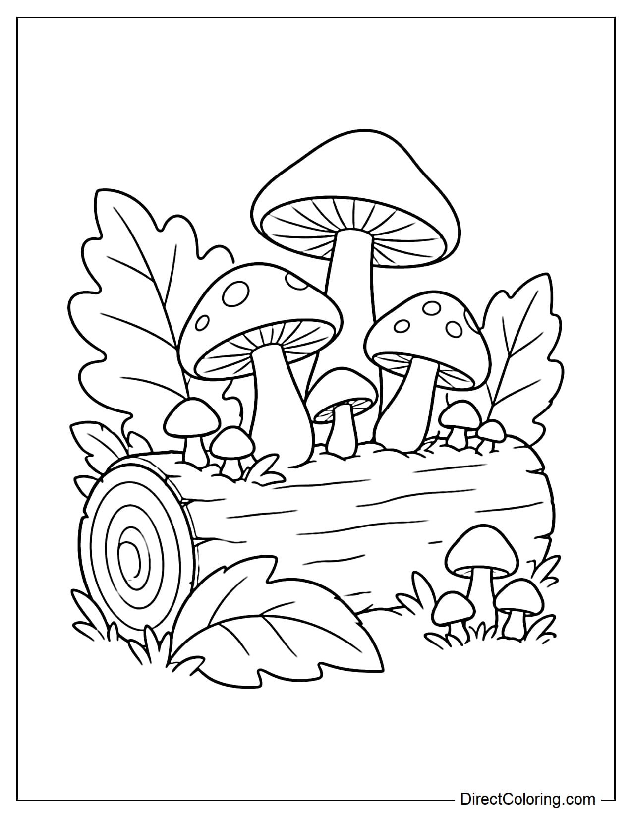 A fallen log with a cluster of large and small mushrooms growing directly from the wood, surrounded by a few large forest leaves.