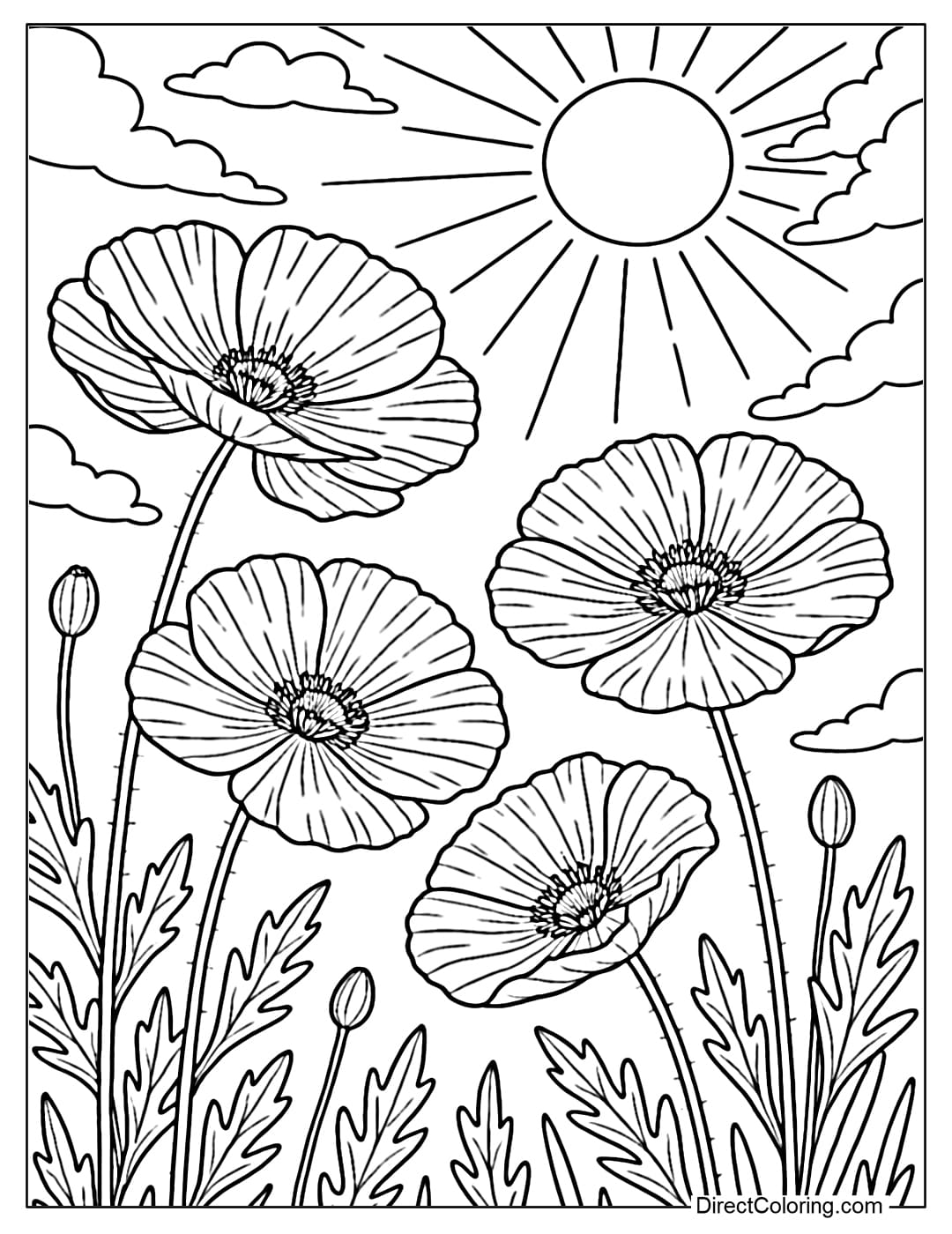 Coloring page from under the flower field looking up, the red-orange flowers near the eyes are blooming, the thin petals shimmering in the sunlight.