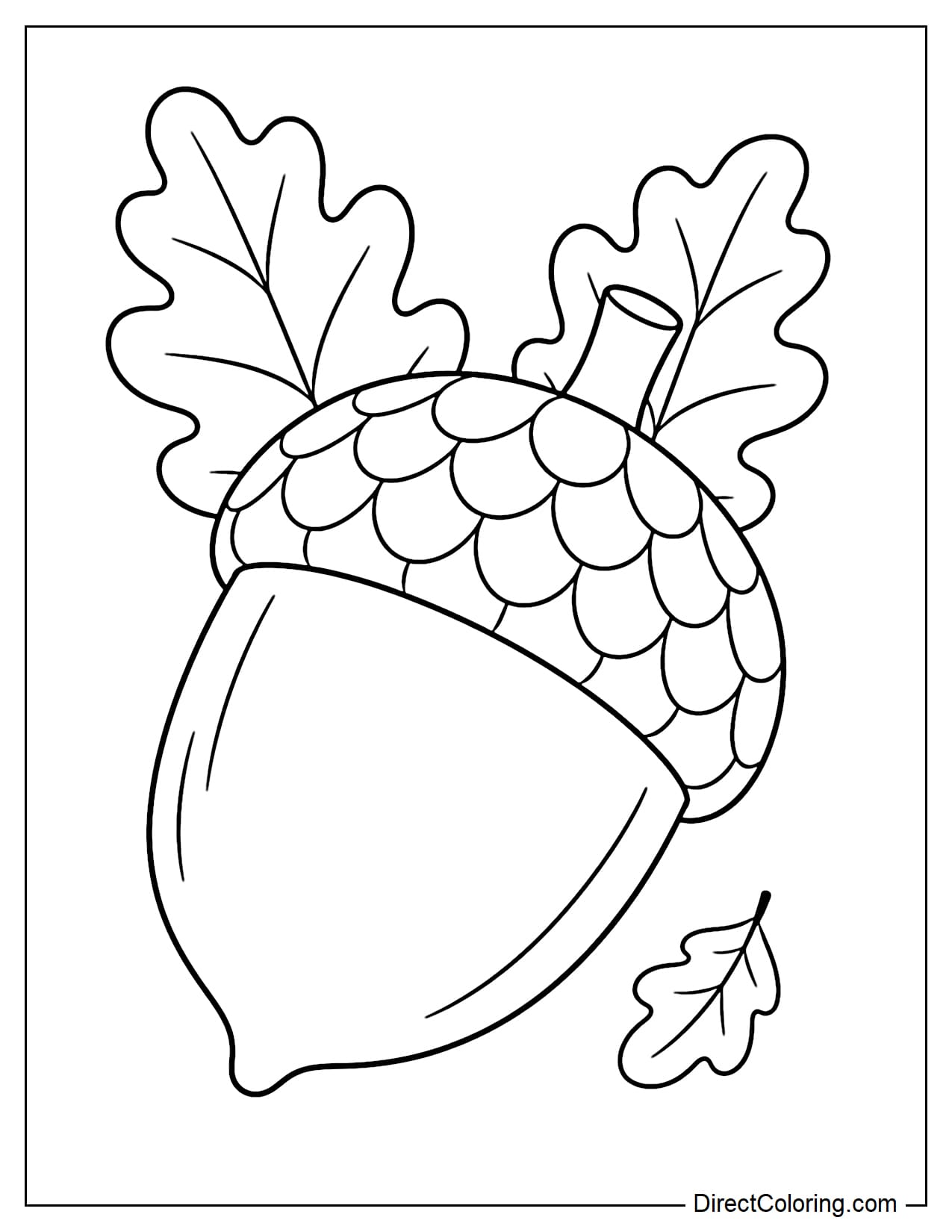 A giant acorn resting at an angle, with two large oak leaves spreading out behind it and one small leaf beside it.