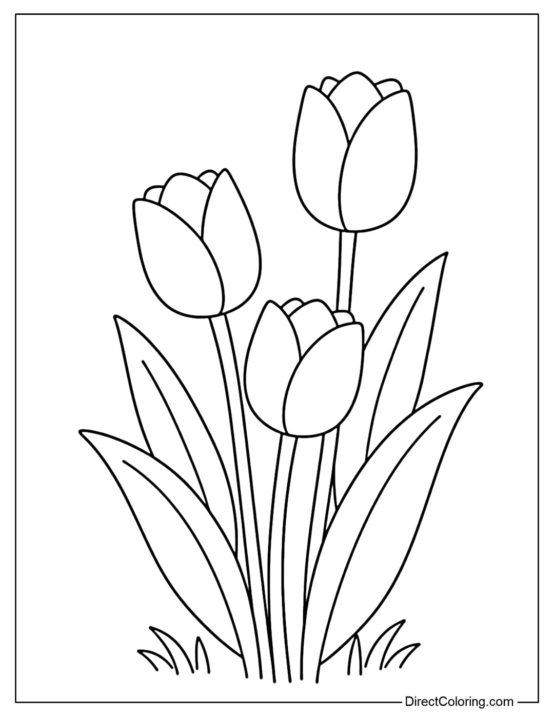 Simple tulip coloring pages suitable for children.