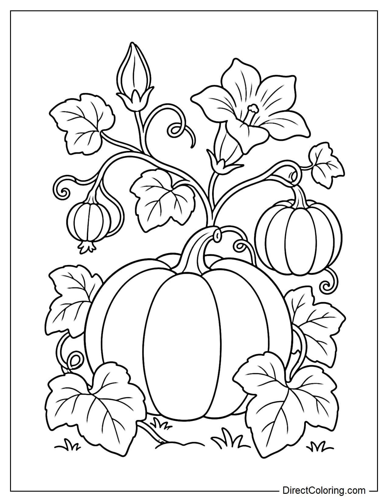 A pumpkin plant showing different stages of growth, including a flower bud, a blooming pumpkin flower, a small young pumpkin, a mature pumpkin, and large leaves.
