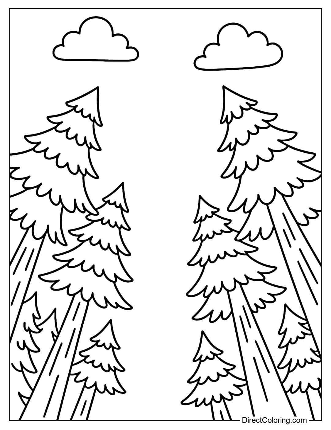 A coloring page from below the pine forest looking up, the tall pine trunk near the eye is clearly visible, the sharp green leaves stretch high.