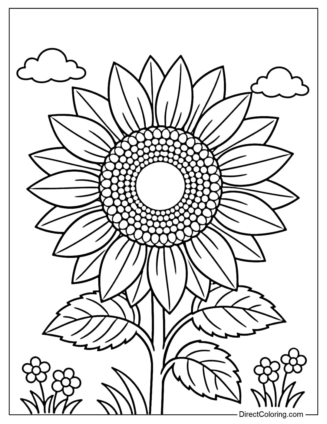 Coloring page of a large sunflower with broad, slightly pointed petals and a simple, multi-layered center.