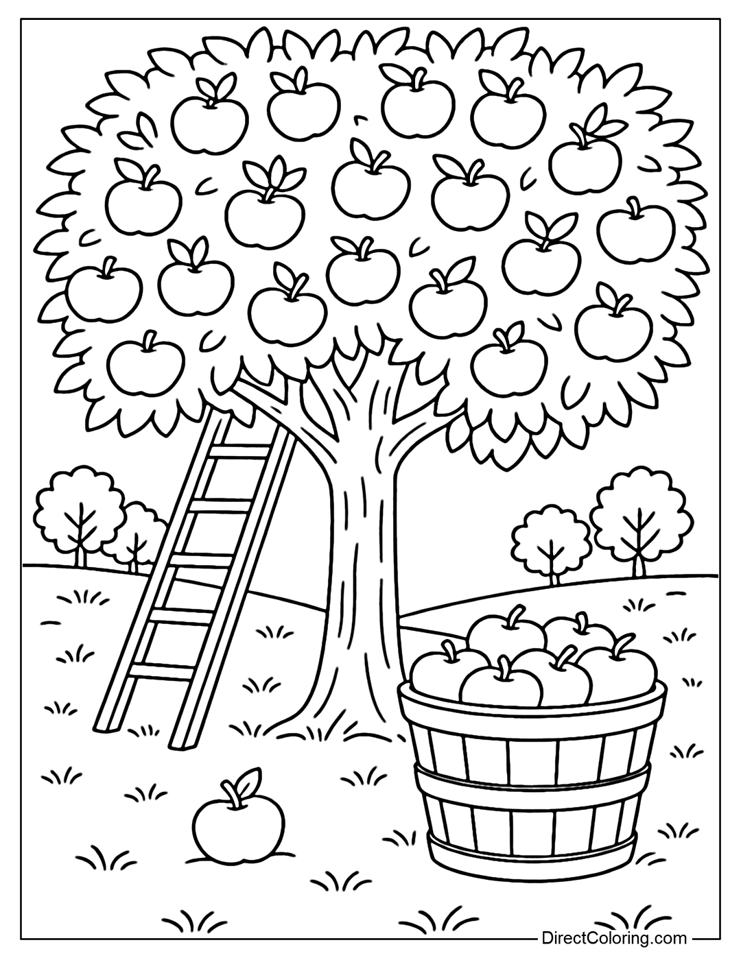 Apple orchard coloring page: apple tree full of fruit, basket full of apples, wooden ladder leaning against the tree trunk.