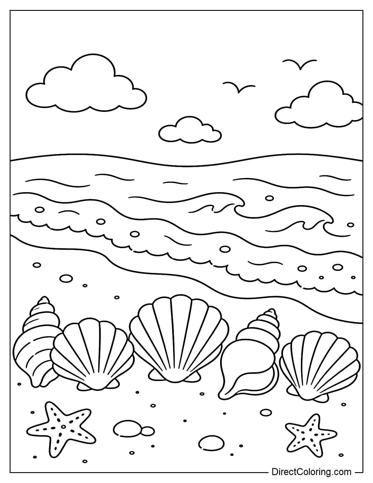 A line of large seashells is arranged along the coastline with a gently curving line of waves in the background.