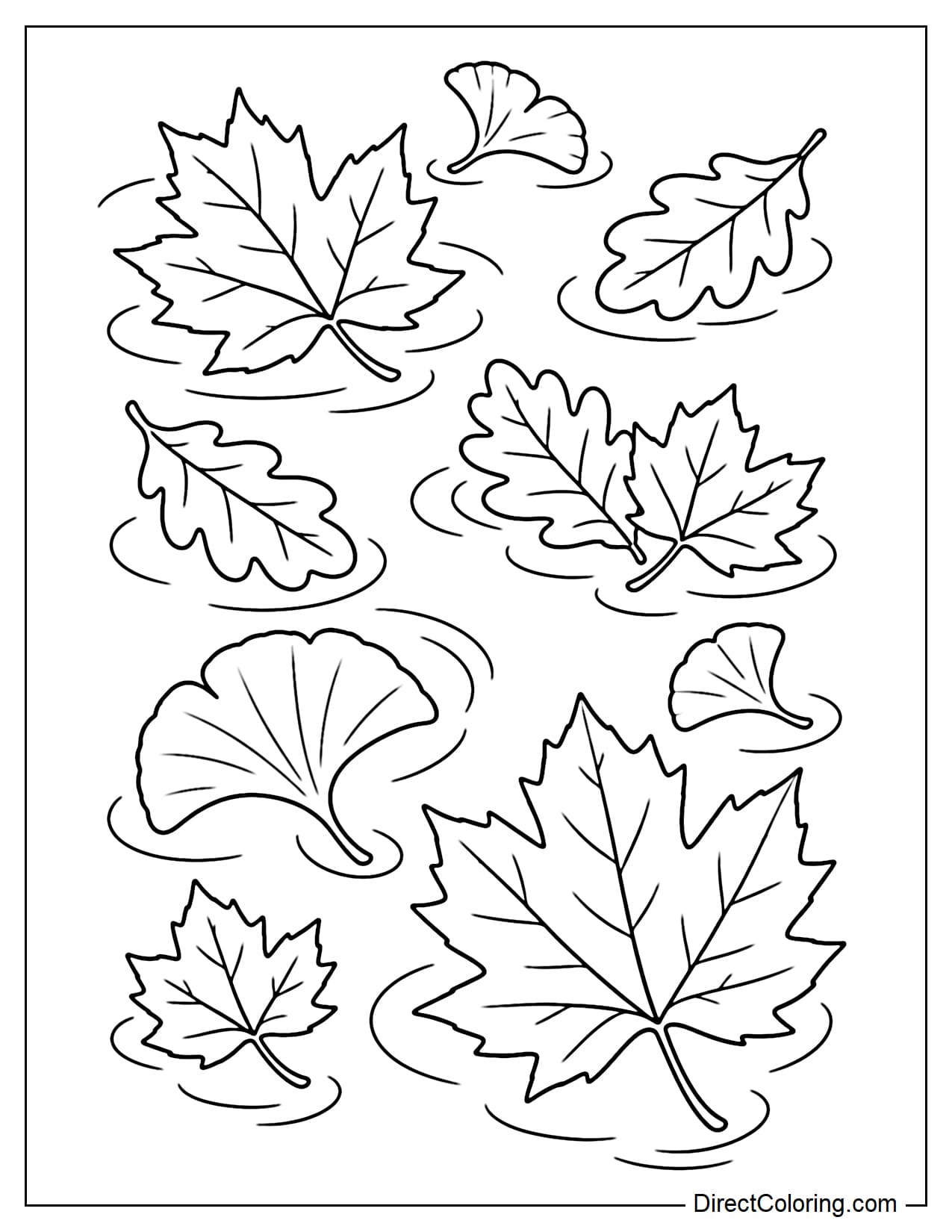 Several autumn leaves in different shapes, including maple, oak, and ginkgo leaves, floating naturally on the calm surface of a pond.