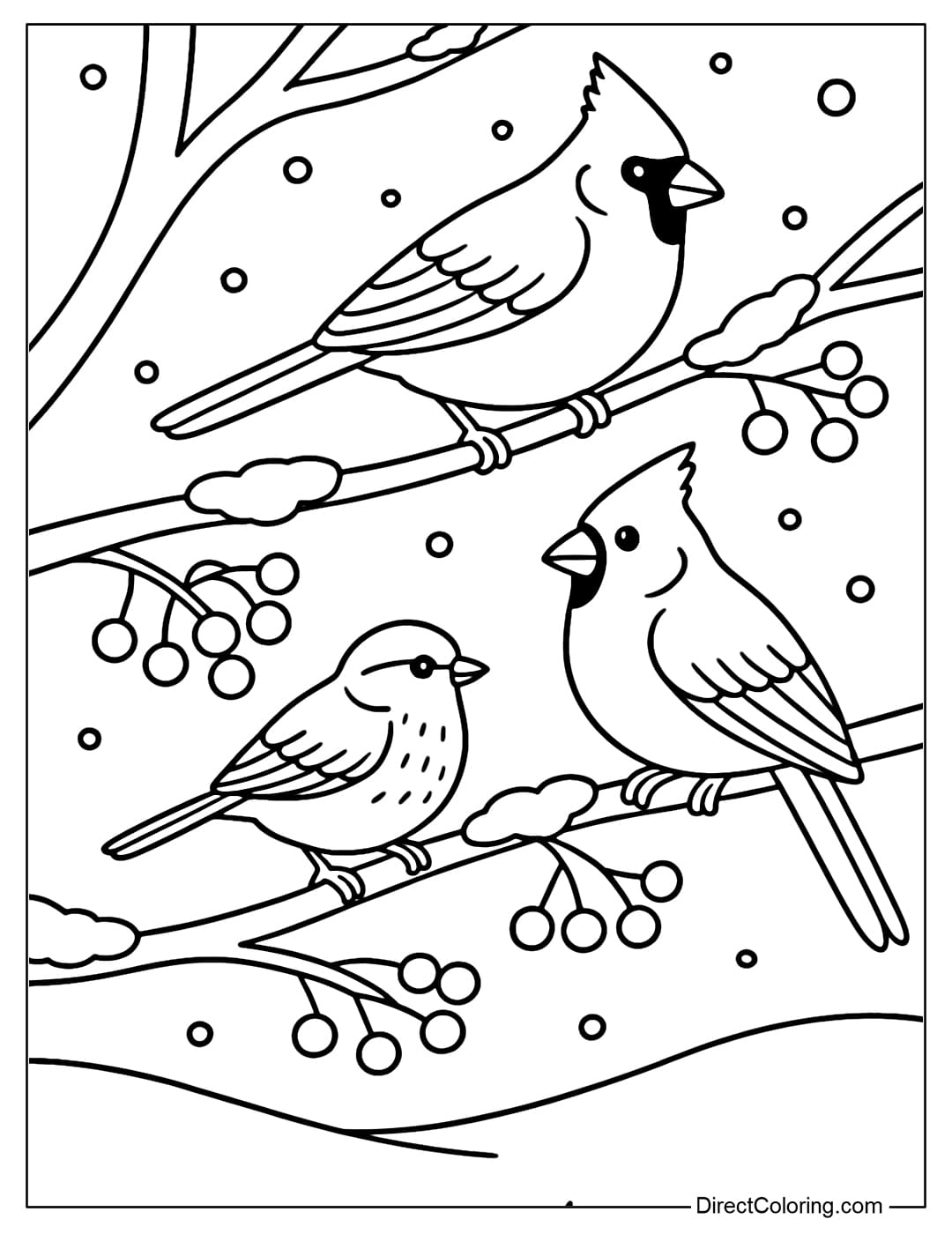 A coloring page of red cardinals and sparrows sitting on snow-covered branches, with red berries.