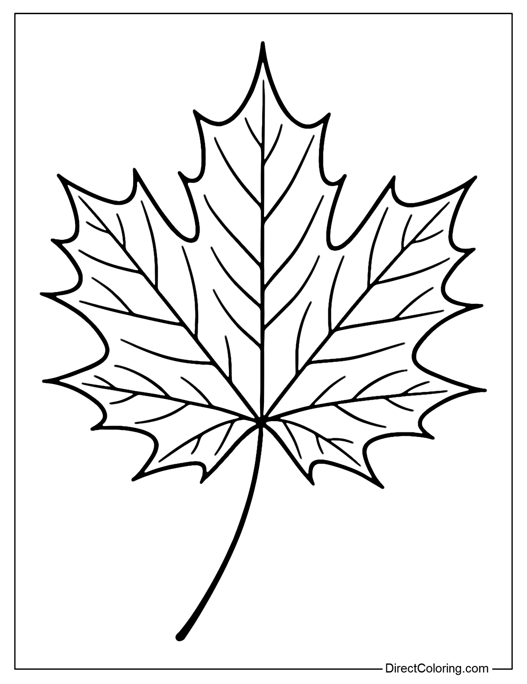 A large maple leaf coloring page with clear veins, lying on a pure blank background.