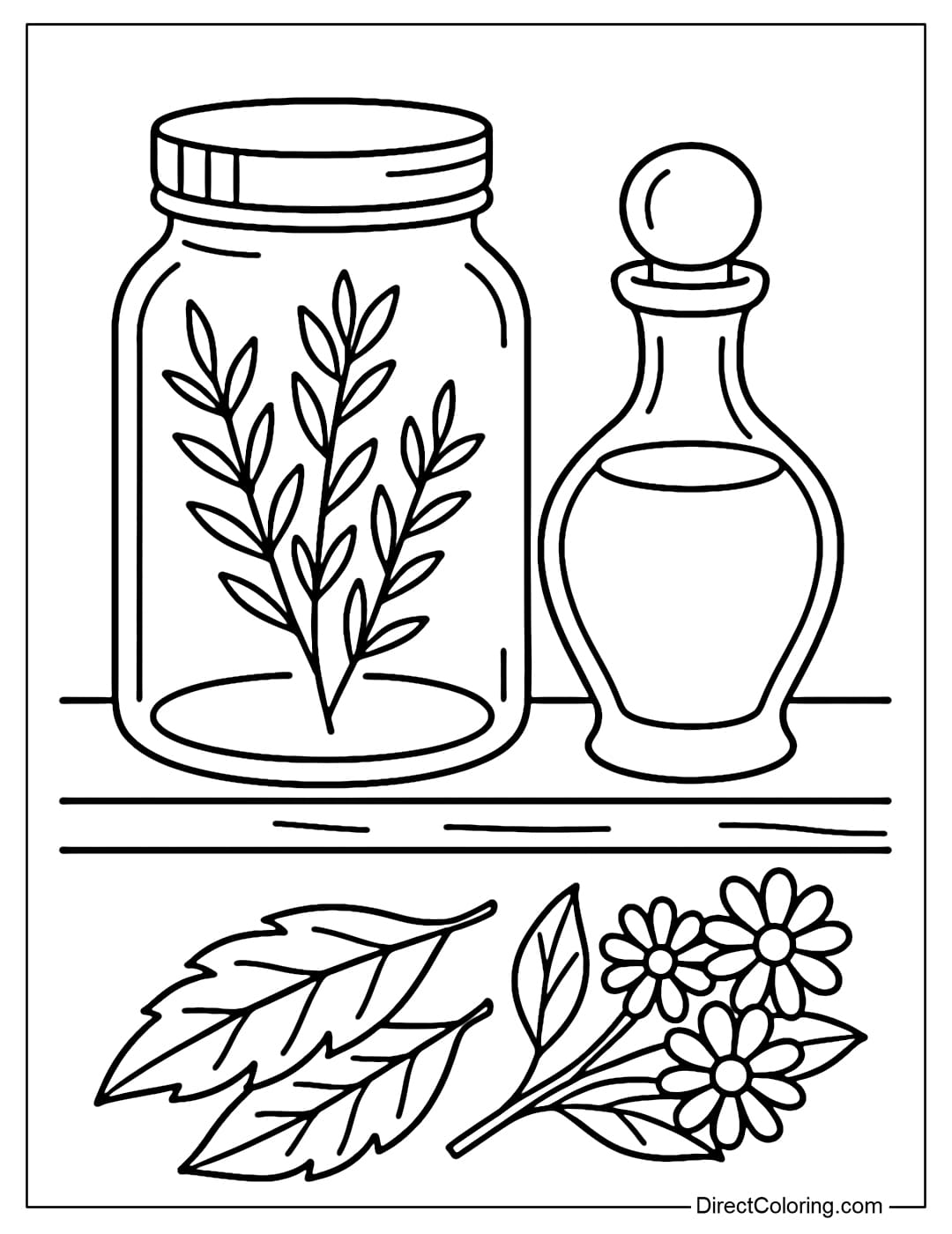 Coloring page of the jar of herbs, dried leaves, flowers and potions neatly arranged on the magic shelf.