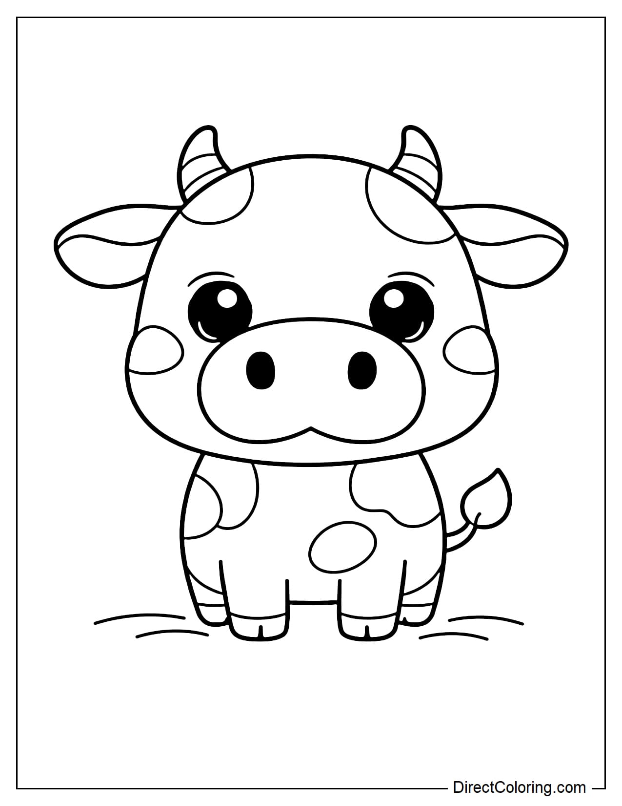 A cow viewed from the front with a symmetrical composition and large, clear patches of color.
