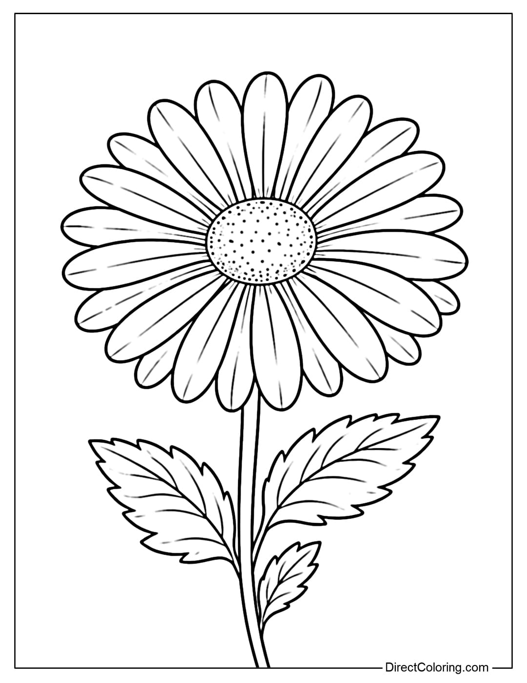 A coloring page of a large daisy with long, evenly rounded petals and a large, clearly defined center.
