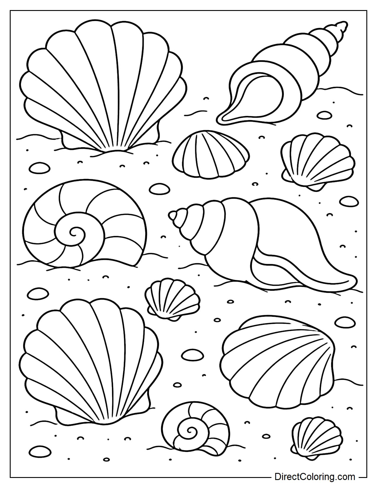 Many large and small seashells are scattered on the sand with clear shapes.