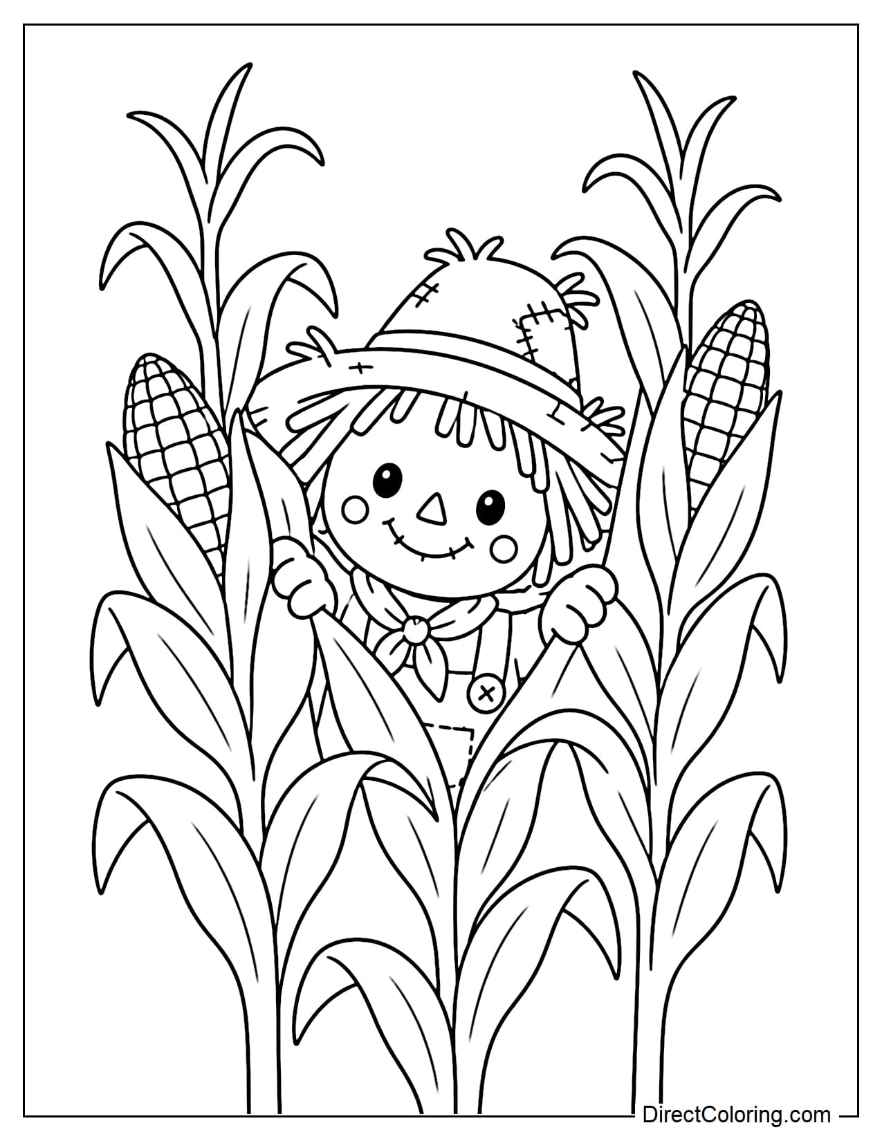 A cute scarecrow peeks its face and hands out from between three tall corn plants as if playing hide-and-seek.