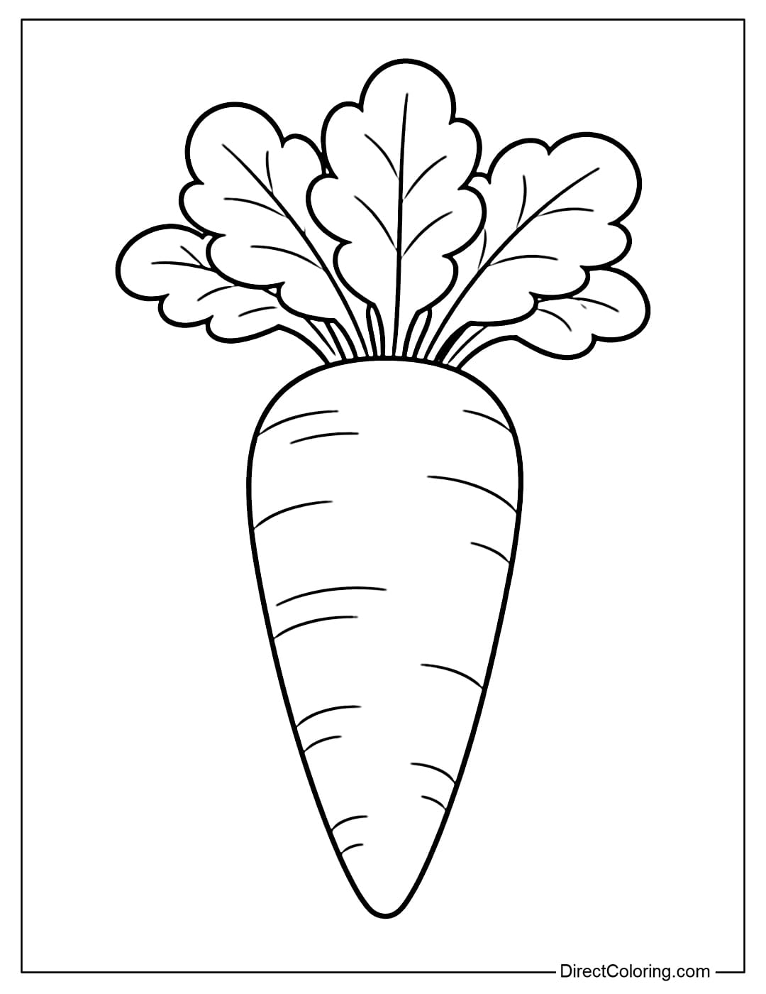 A large carrot with large leaves spreading out above.