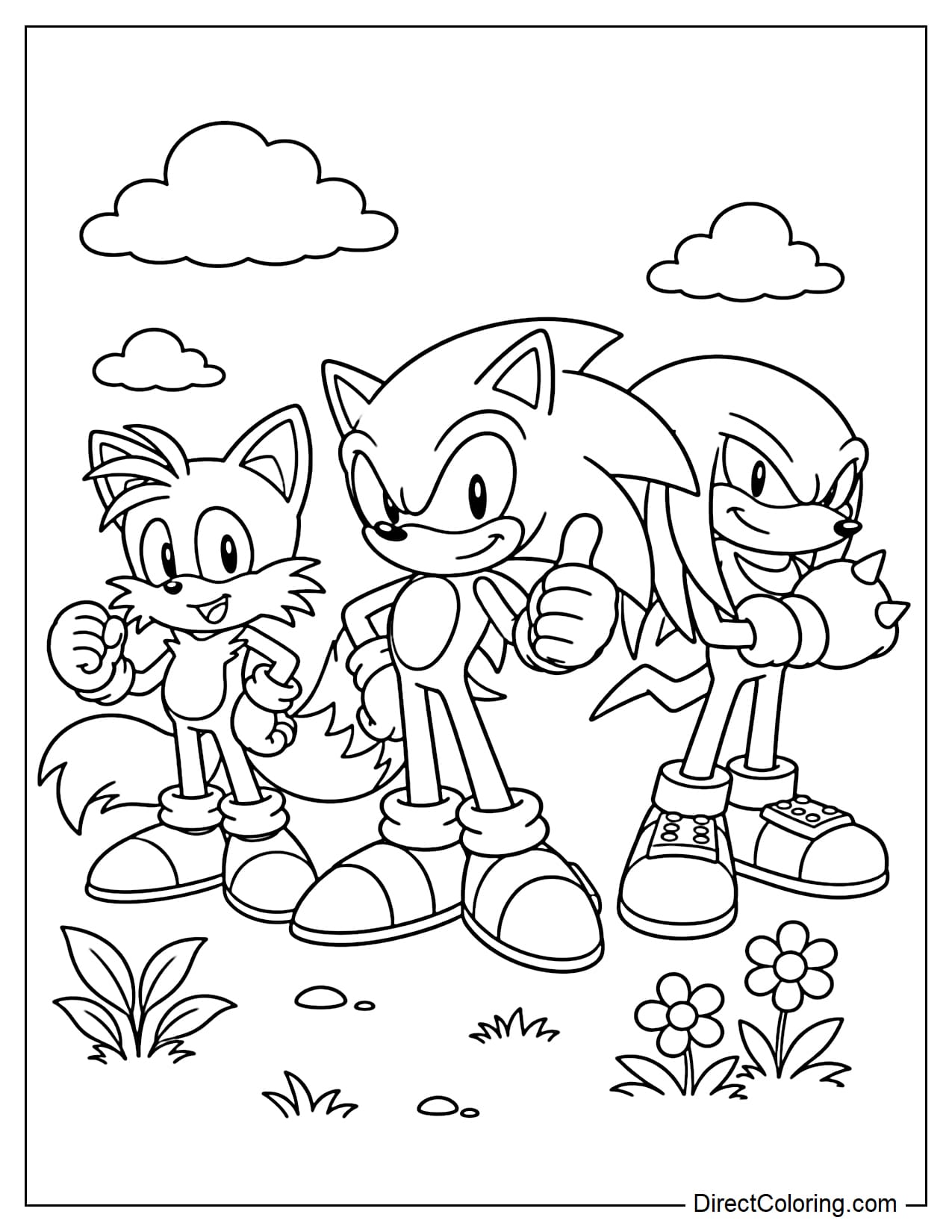 Sonic, Tails, and Knuckles are standing together in a confident pose.