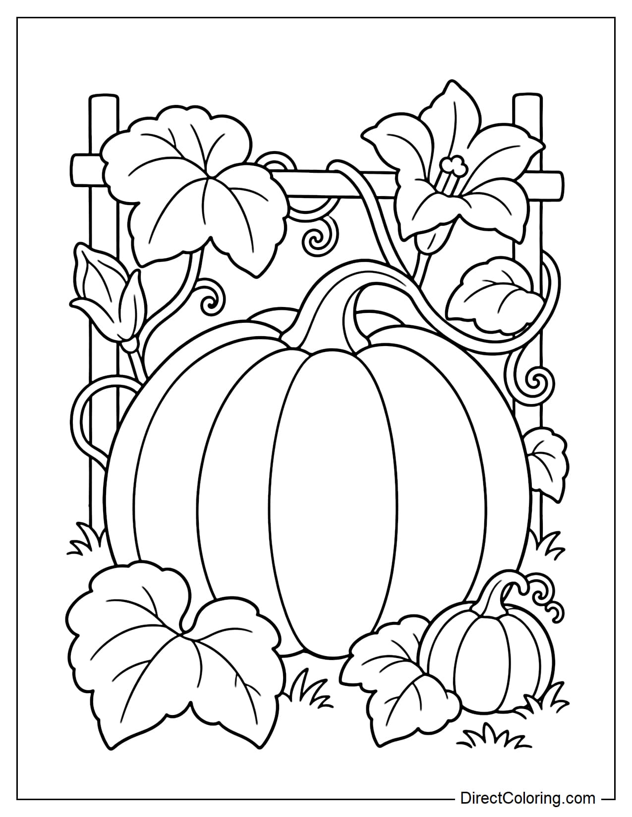 A large, plump pumpkin growing from a vine that climbs across a low garden trellis, surrounded by a few large leaves, pumpkin blossoms, and a small young pumpkin.