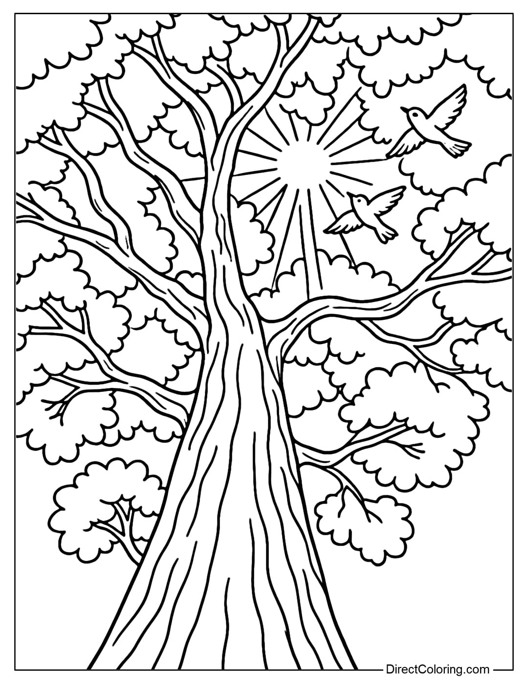 A coloring page looking up from the bottom of the forest, a tall old tree with a wide canopy, sunlight filtering through the leaves, and small birds flying.
