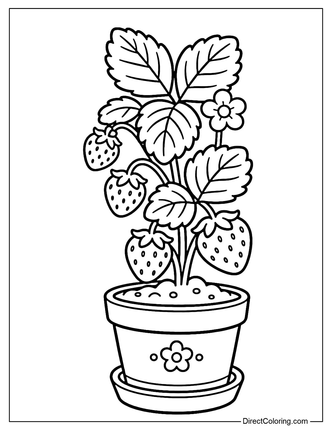 A coloring page of a strawberry plant in a pot with small leaves and fruit.