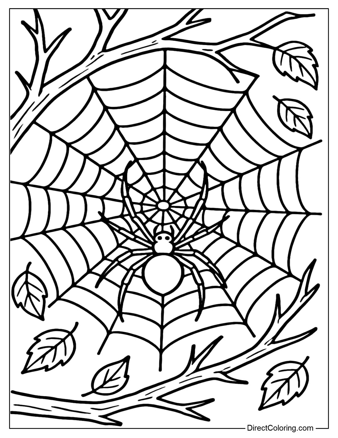 A real spider coloring page spinning a web on a dry tree branch, each thin thread stretching between the branches.