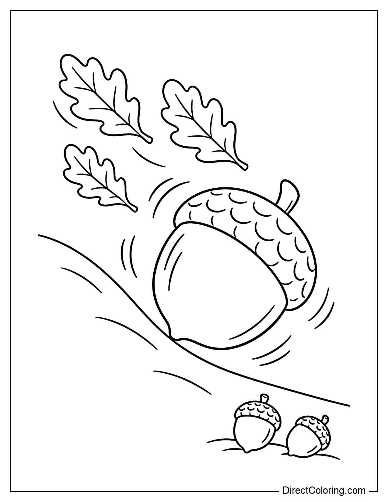 A giant acorn rolling down a gently curved hill, with three large oak leaves flying behind it and two small acorns resting at the bottom of the slope.