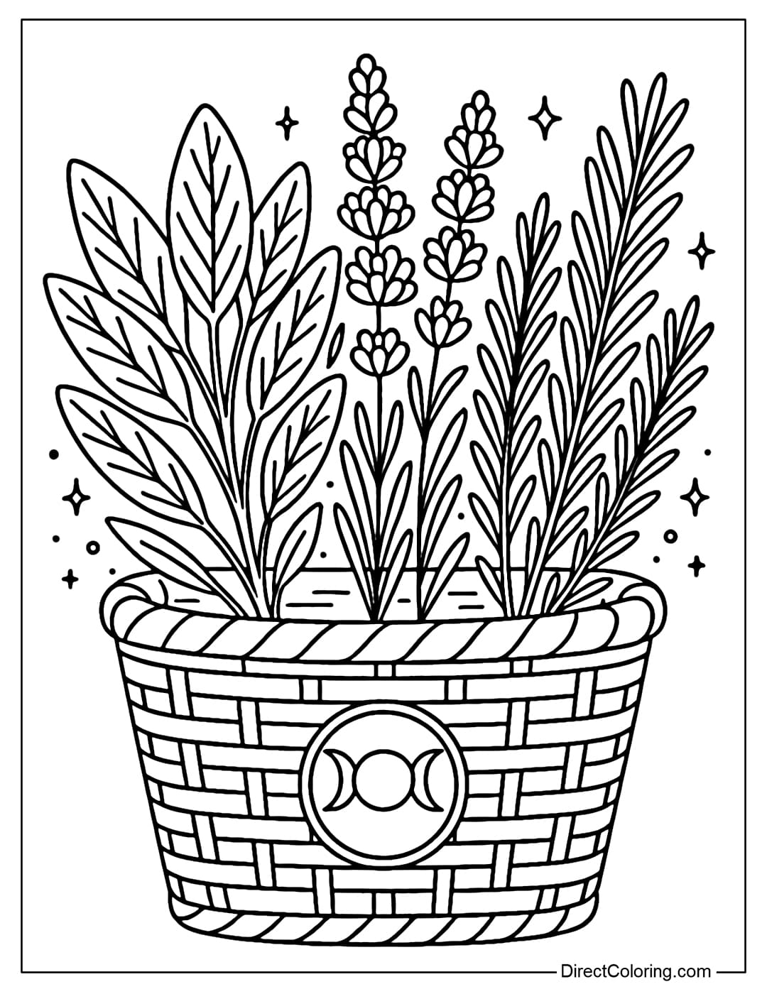 Mystical Herbs Basket Coloring Page: Sage, Lavender, Rosemary with Magical Symbols.