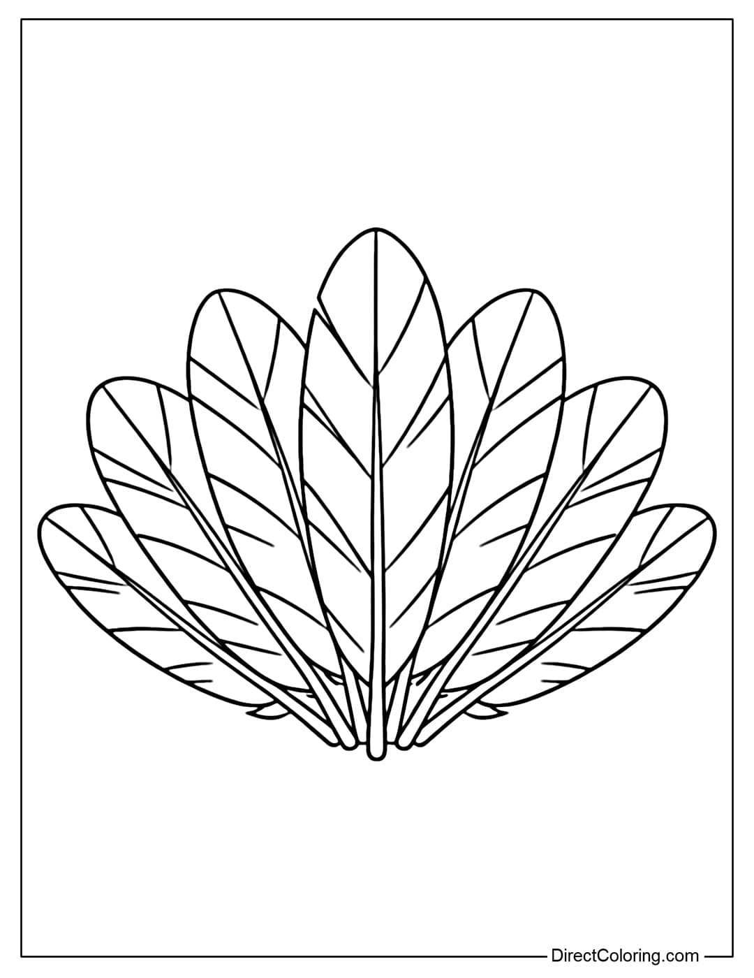 A coloring page of a cluster of feathers fanned out like a fan, each feather large and with simple veins.